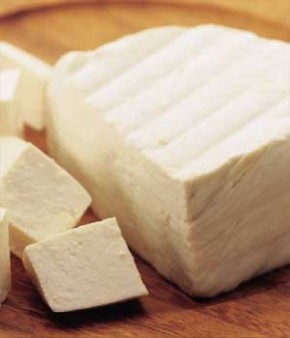 Home Made Paneer