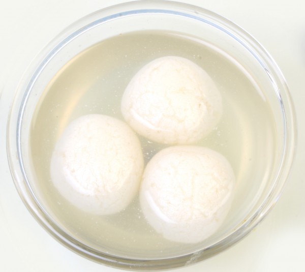 Rasgulla